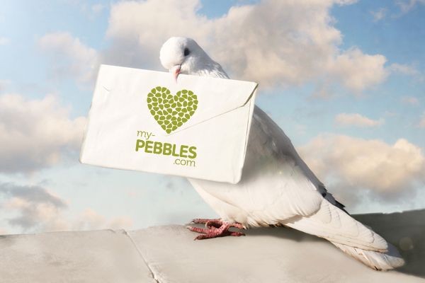 Los geht's - unser Blog ist gestartet Los geht's - unser Blog ist gestartet